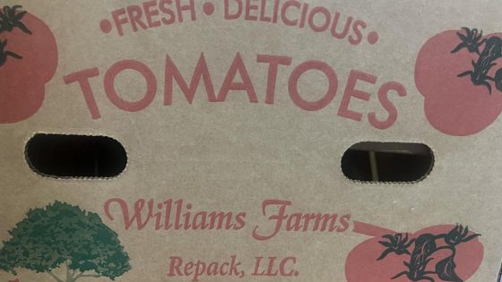 Salmonella contamination prompts tomato recalls in 14 states, including NC :: WRAL.com