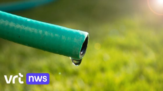 Ook bijna geen regenwater meer op overschot door de droogte? Zo vul je je regenput bij