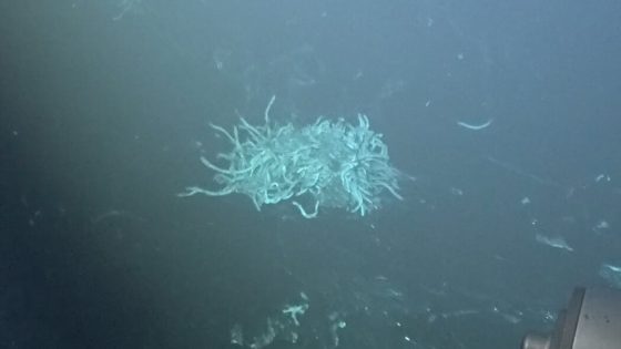 Volcanic Eruption in Deep Ocean Ridge Is Witnessed by Scientists for First Time