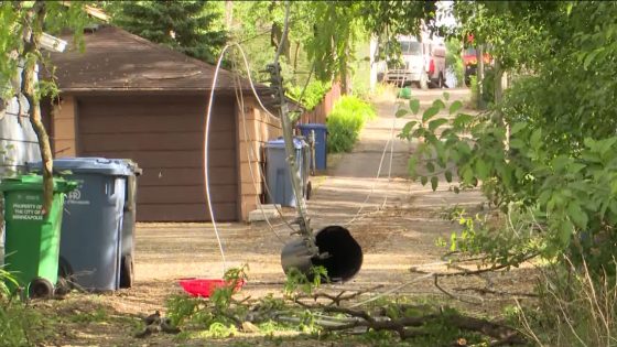 Power outages reported in Twin Cities after storm