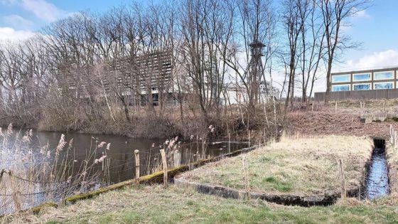 Slib uit vijver Thor Park halen kost geen 200.000 maar 650.000 euro: "Alternatief zoeken"