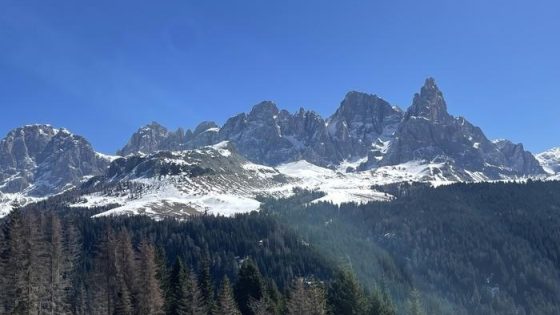 A mountain range above lots of spruce trees