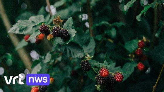 Stekene opent wildpluktuin en wildplukroute op domein Zomerhuis