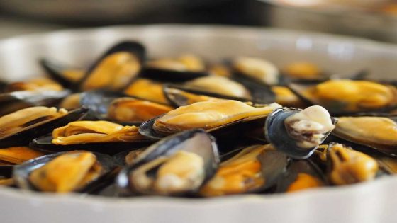 Verrassend: Daar zijn de eerste mosselen al! Expert raakt niet uitgepraat over de smaak