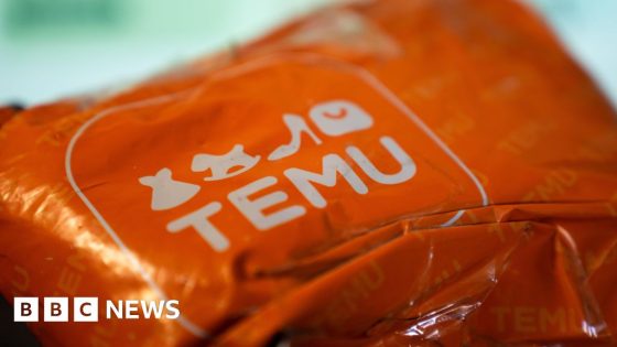 Temu's Chinese owner sees profits plunge as tariff war bites