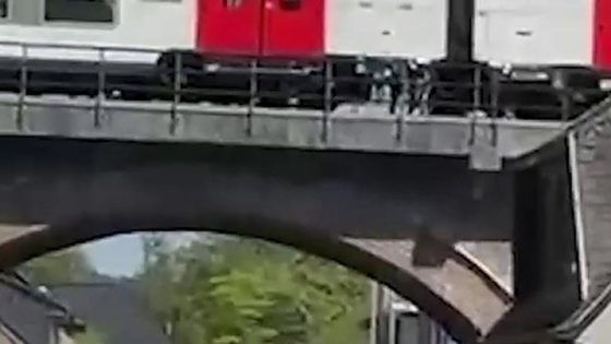 Trein met duizendtal reizigers valt stil onderweg naar kust, iedereen geëvacueerd: “Rookontwikkeling, maar die was snel onder controle”