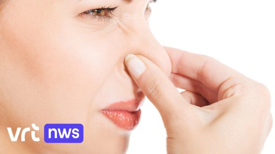 "Geur van bedrijf dat pluimvee verwerkt maakt inwoners Dendermonde ziek": toxicoloog waarschuwt voor gezondheidsrisico's