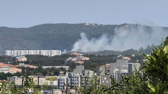 South Korean navy patrol plane crashes in country's south