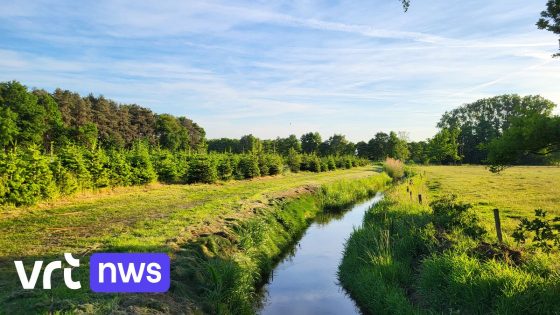 Man van 63 kantelt met maaitractor in Zwarte Neet in Retie en sterft