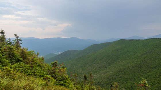 NY hikers reported their companion died. They were high on mushrooms – NBC New York