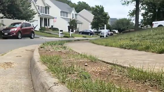 Virginia teenager shot and killed by homeowner while recording TikTok prank video