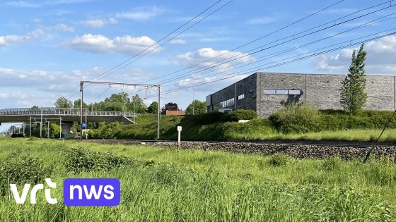 "Denk na, neem de veilige weg, altijd": treinbestuurder doet oproep na noodstop door spoorloper in Diepenbeek