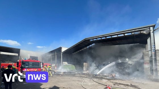 Treinverkeer tussen Vilvoorde en Mechelen onderbroken door brand in afvalverwerkend bedrijf