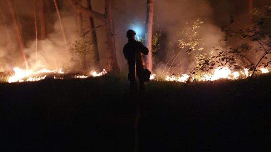 Twee hectare natuur afgebrand op militair domein in Leopoldsburg: “Gelukkig was het windstil”