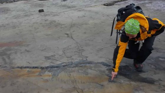 Scientists Uncover Shockingly Well Preserved Pregnant Ichthyosaur Fossil