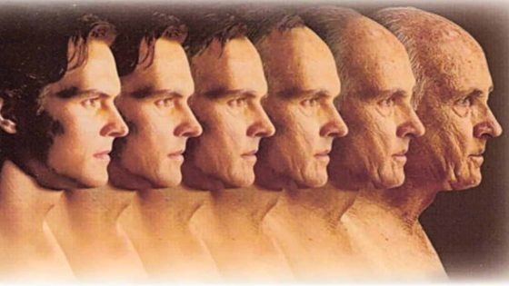 Human Aging Process