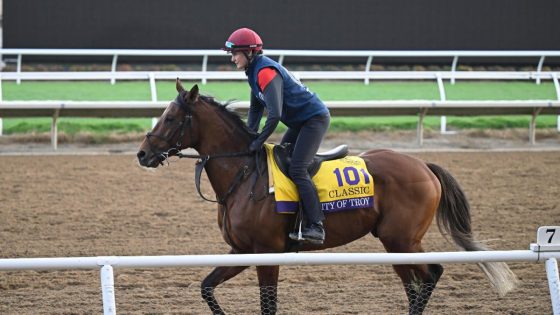 2025 Preakness Stakes predictions, odds, horses, date, post positions: Surprising picks by horse racing expert
