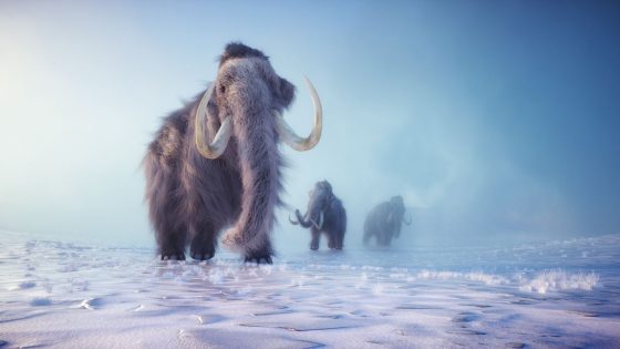 A Million Years of Mammoth Genetic Diversity Revealed By Mitochondrial DNA