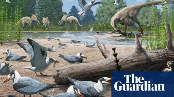Birds were nesting in the Arctic during age of dinosaurs, scientists discover | Archaeology