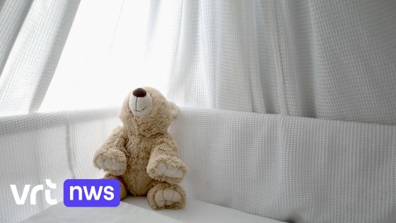 Vader (28) uit Maldegem veroordeeld tot vier jaar cel met uitstel voor zware mishandeling van pasgeboren tweeling 