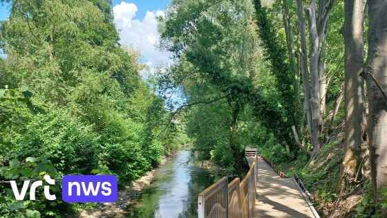 Vernieuwd Zennepad geopend in Halle: "Idyllische wandeling langs het water"