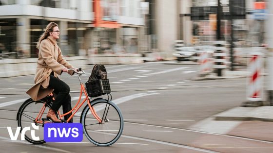 Vlamingen fietsen meer dan ooit: 18,5 procent van alle verplaatsingen al fietsend