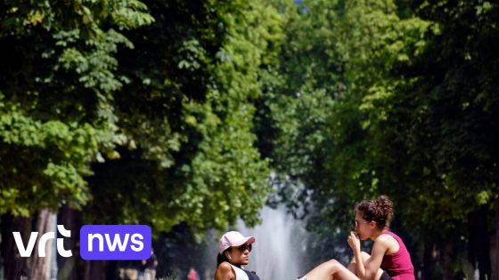 Morgen blijft het warm, in het weekend wordt het frisser en is er kans op regen - VRT