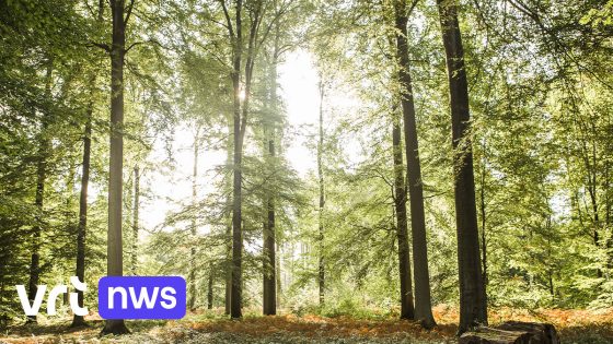 Ook in West-Vlaanderen geldt nu code oranje voor brandgevaar
