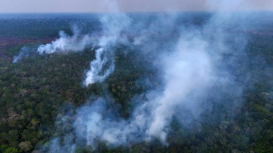 Wildfires fueled deforestation surge in rainforests like the Amazon last year