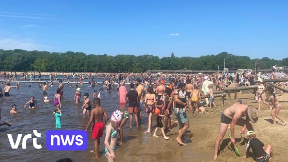 Zon, water en zand: zwemzone in Hofstade helemaal volzet