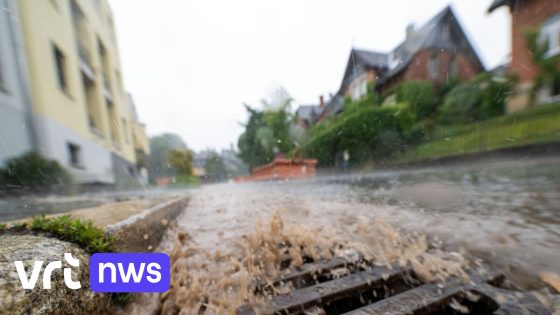 1 op de 20 huizen heeft nog geen rioolaansluiting: ontdek hoe het zit in jouw gemeente