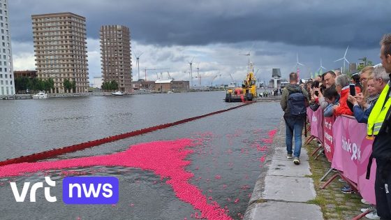 "Elke lotgenote is een te veel": 20.000 roze badeendjes racen voor strijd tegen borstkanker in Antwerpen