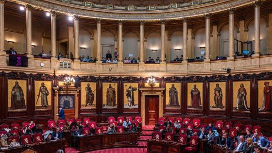 Afschaffing Senaat kan partijen veel geld kosten - De Standaard