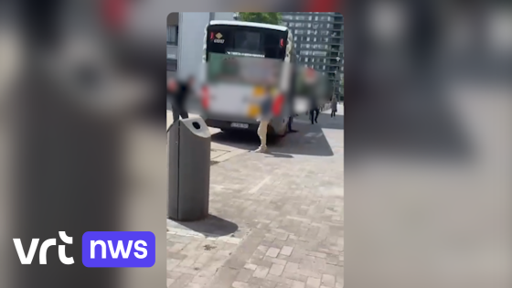 Ook vandaag geen bussen op Antwerpse lijn 36: "Chauffeurs zwaar aangeslagen na dodelijke steekpartij"