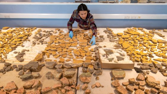 An archaeologist pieces together fragments of a fresco laid out on a table.