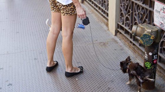 Kunnen de honden in Blankenberge nog wel ergens hun gevoeg doen? “Pak een spuitbusje mee” - De Standaard