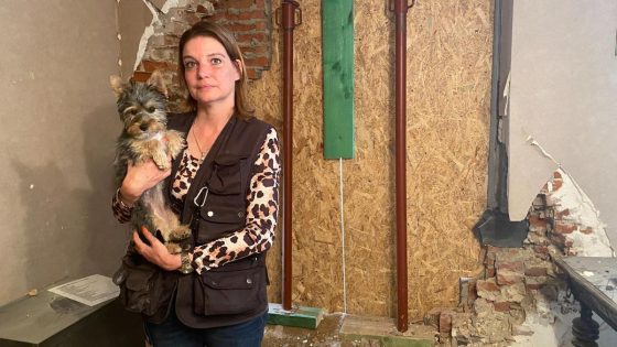 Auto doorboort gevel van bedrijf in Gelinden: “Hond Mika teruggevonden onder de brokstukken” - HBVL