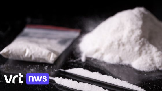 Bouwfirma uit Goetsenhoven dekmantel voor cocaïnesmokkel uit Zuid-Amerika