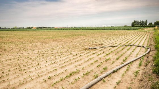 Zeer warme temperaturen houden voorlopig aan
