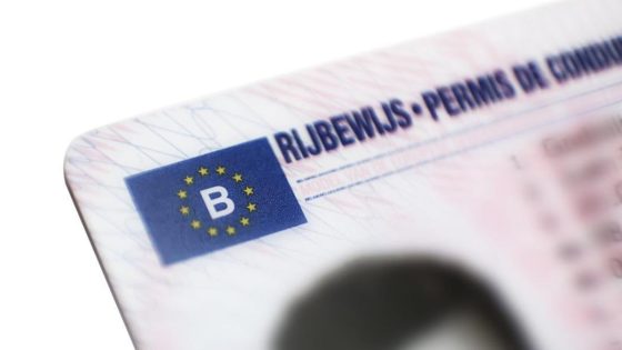 Jaar cel voor Brusselse politieman die zonder rijbewijs rondreed en betrokken raakte bij dodelijk ongeval met politiewagen