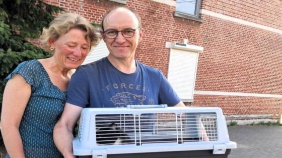 Kat Lopje na zeven (!) jaar weer herenigd met baasjes: “We hadden de moed al opgegeven om haar terug te vinden” (Rotselaar)