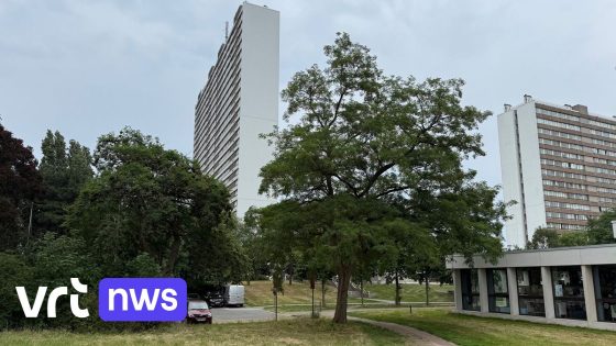 Bewoners Chicagoblok op Antwerpse Linkeroever getuigen over krakers: "Drugs dealen, drinken, nachtlawaai en afval"