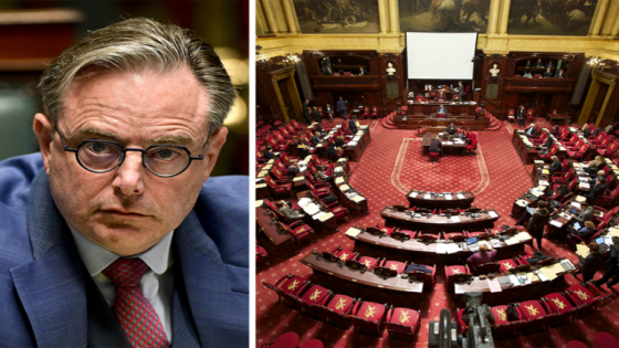 Om Senaat af te schaffen moet De Wever aankloppen bij een oude bekende - Het Nieuwsblad