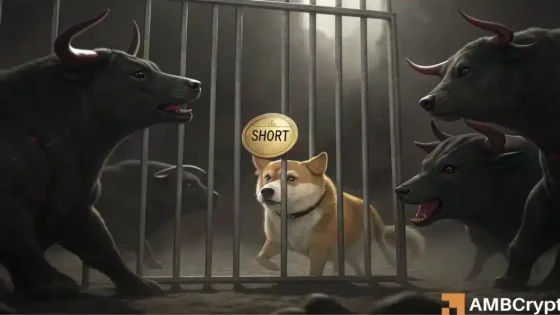 Dogecoin consolidates - Is DOGE setting up a bear trap for $0.20?