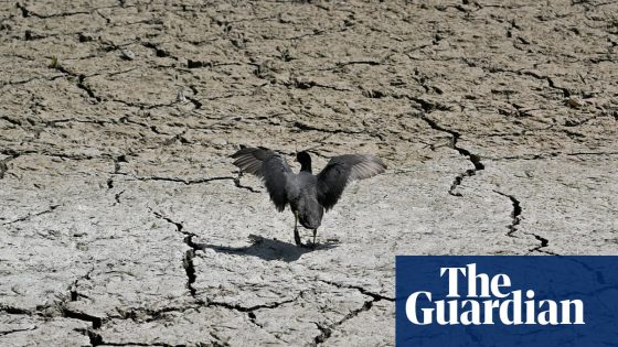 Drought fears in Europe amid reports May was world’s second hottest ever | Environment