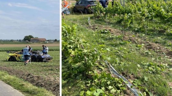 Edward (31) meet schade op nadat rallywagen in zijn wijngaard rijdt: “2.000 à 3.000 euro die niet meer geoogst kan worden” (Wervik)