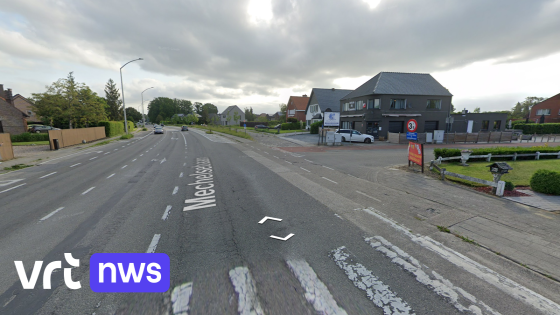 Motorrijder (70) botst met ree in Duffel: man in kritieke toestand naar ziekenhuis