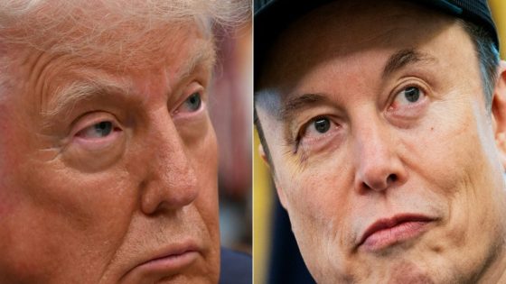 Elon Musk's apology to Donald Trump is making investors happier than the U.S. China trade framework is - Fortune