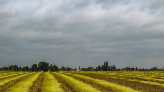Noodnummer 1722 geactiveerd: rukwinden, hagel en veel…