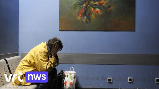 Familieproblemen vaak oorzaak voor dak - en thuisloosheid in Brussel:"Neerwaartse spiraal" 